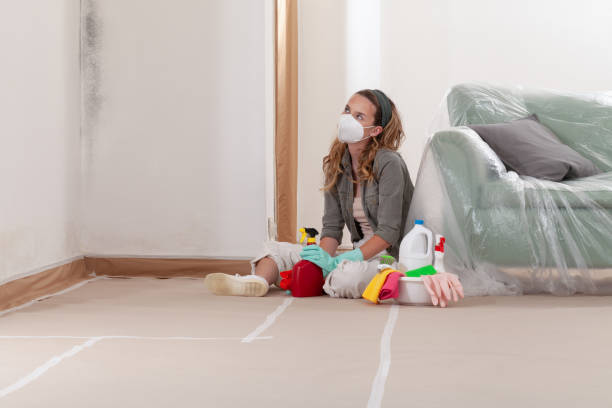 Reliable Black Mold Removal contractor in Honey Grove, TX by WQB Mold Removal